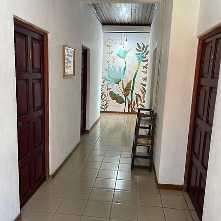 Hotel Villa Margarita Flores Exterior foto